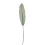 Frosted Cordyline Leaf 110Cm