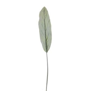 Frosted Cordyline Leaf 110Cm