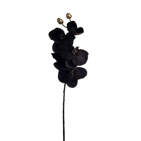 Phalaenopsis Spray Grey 66Cm Hqn
