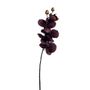 Phalaenopsis Spray Purple 66Cm Hqn