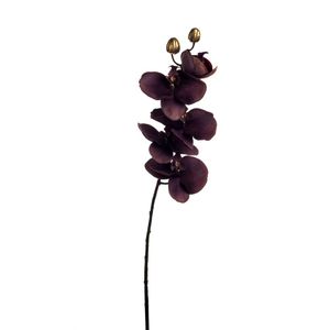 Phalaenopsis Spray Purple 66Cm Hqn