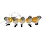 5 Pce Acrylic Bird Lights with clamp 8x7x15.5cm full length 120cm mains powered