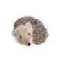 Holly Hedgehog 10Cm Wdl