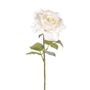 Single Snow White Rose