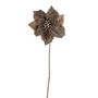 Poinsettia Single Gold 56Cm