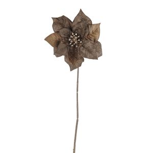 Poinsettia Single Gold 56Cm