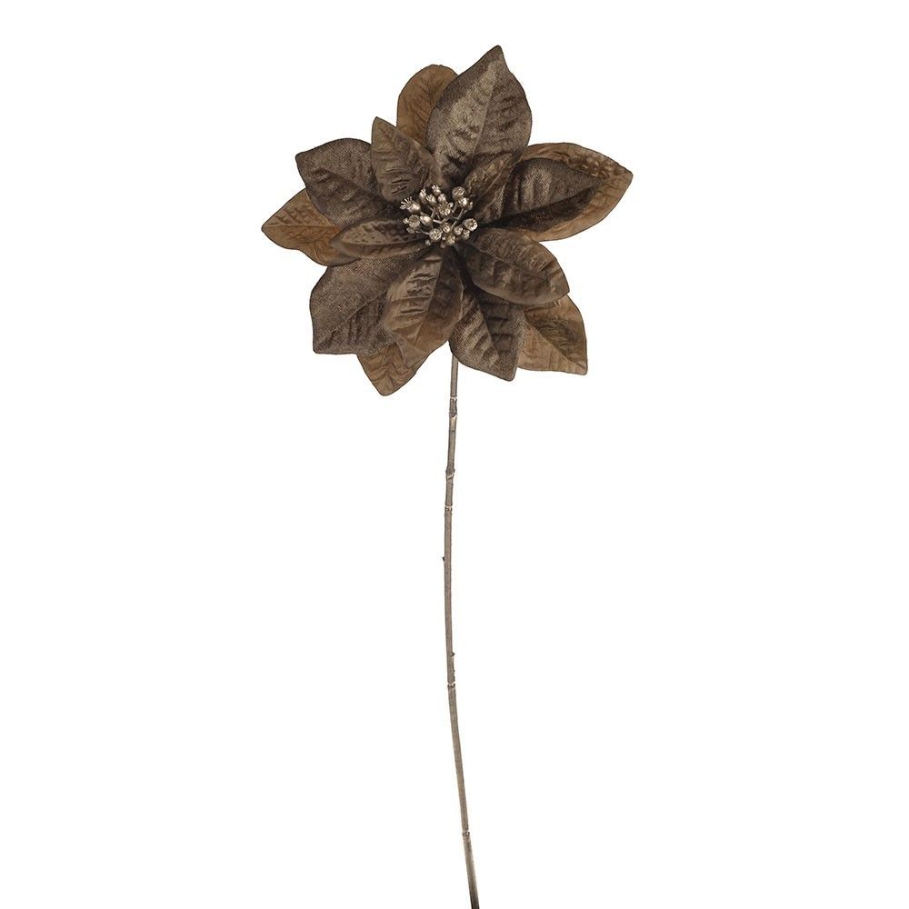 Poinsettia Single Gold 63Cm