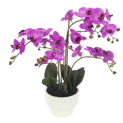 Potted Fuchsia Orchid x 5 Stems in a Ceramic Pot - 63cm
