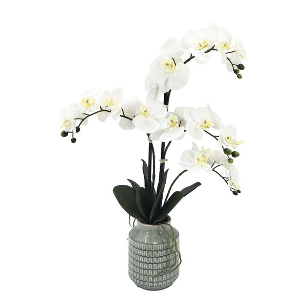 Potted White Orchid x 4 Stems in a Wavy Line Ceramic Pot - 66cm