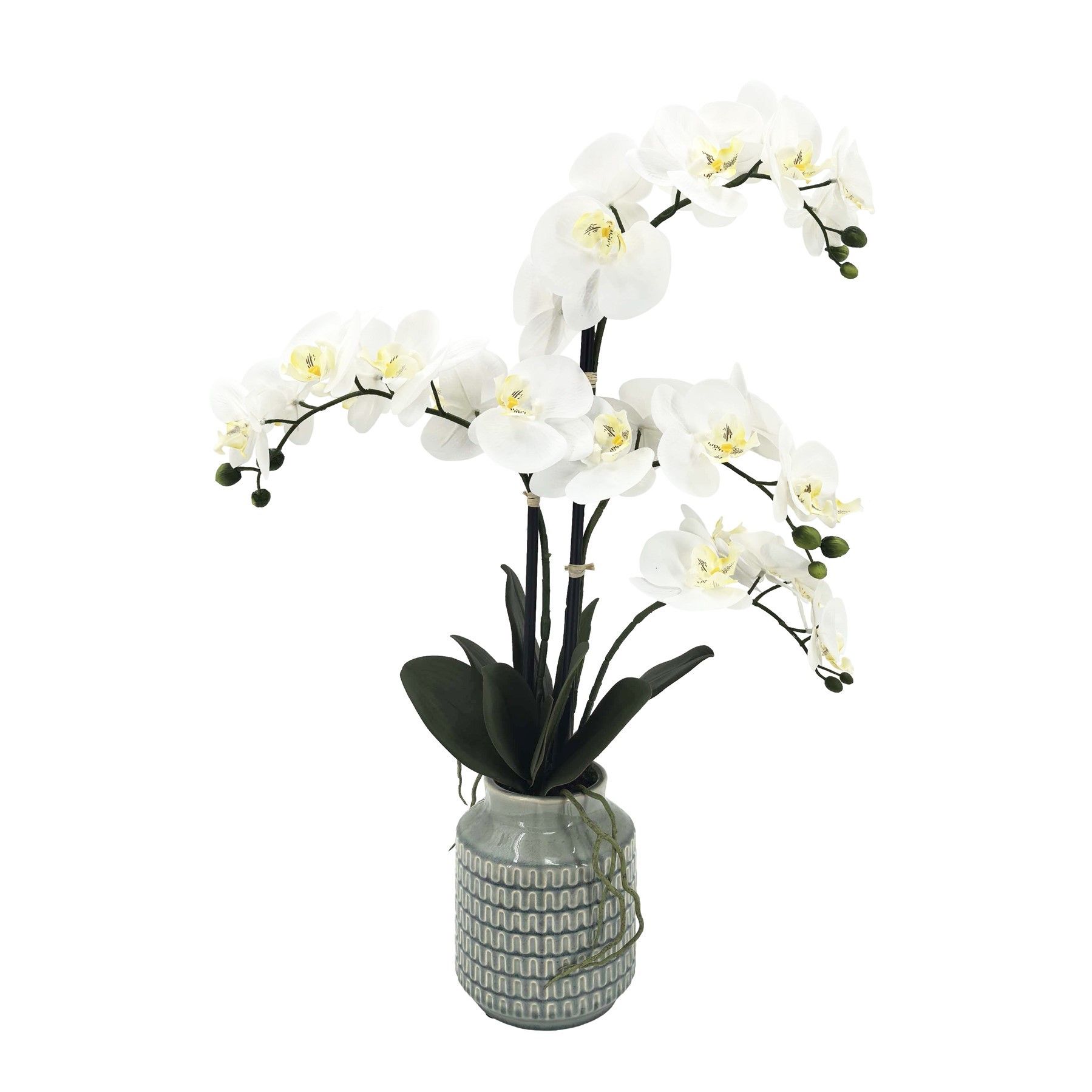 Potted White Orchid x 4 Stems in a Wavy Line Ceramic Pot - 66cm
