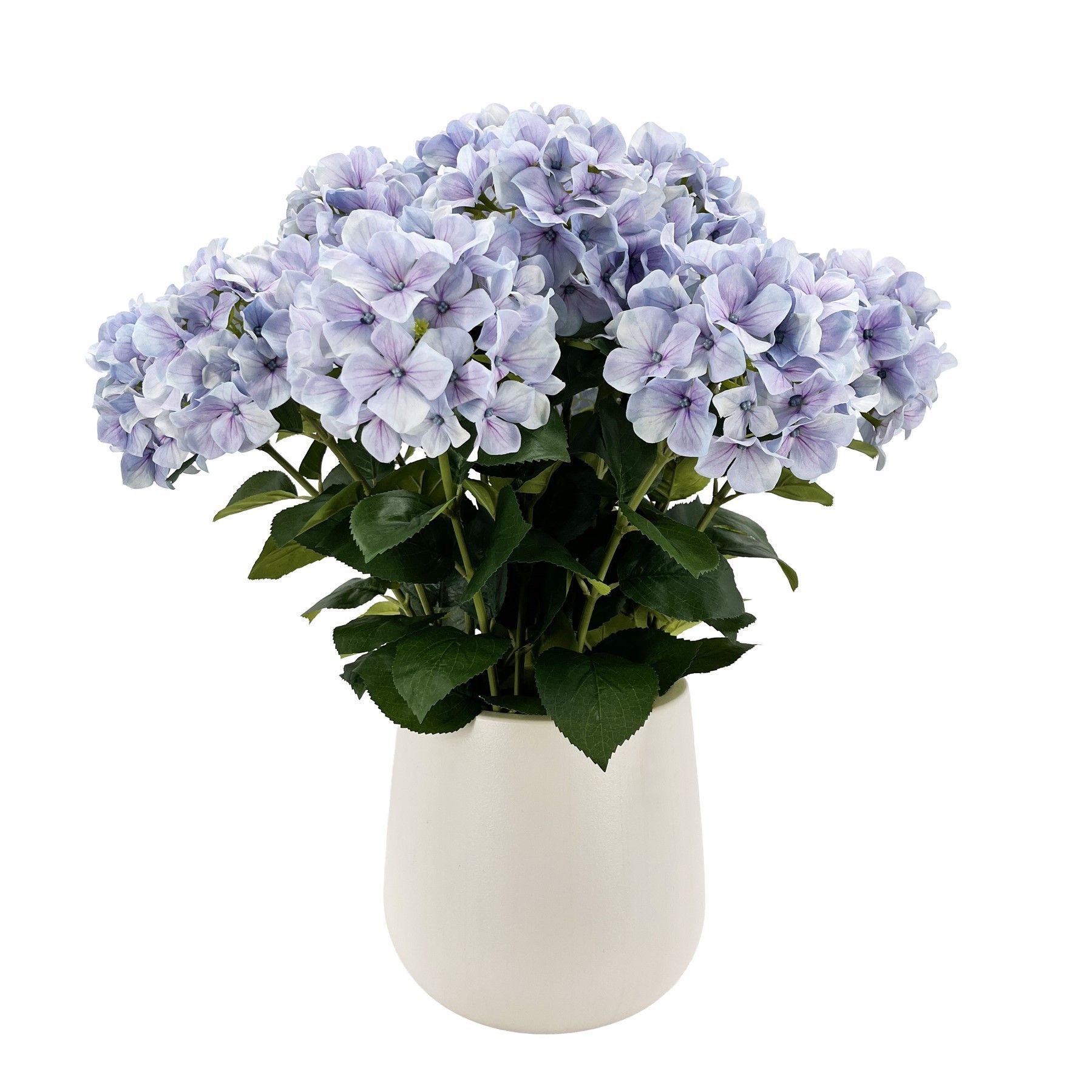 Potted Lilac Hydrangea x 15 Stems in a Ceramic Pot - 71cm