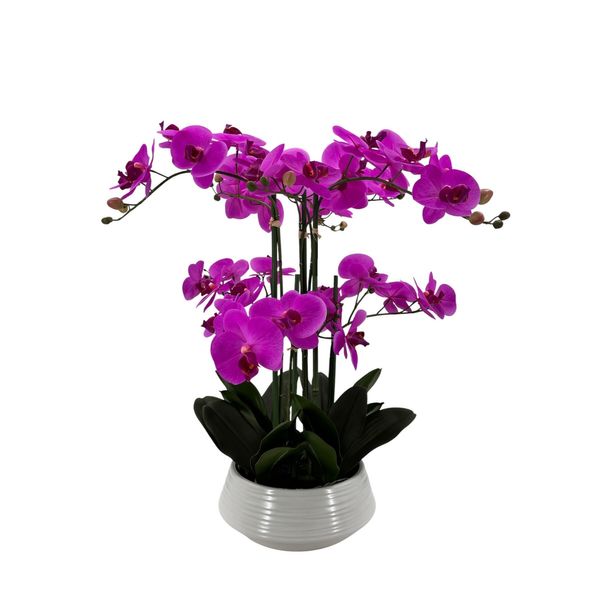 Potted Fuchsia Orchid x 6 Stems in a Ceramic Pot - 64cm