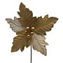 Ponsettia Berries Natural Gold Trim 24cm