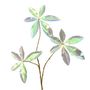 Fatten Leaf Silver 66cm