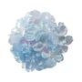 Hydrangea Iridescent Blue 14cm