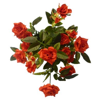 Diamond Rose Bush Red