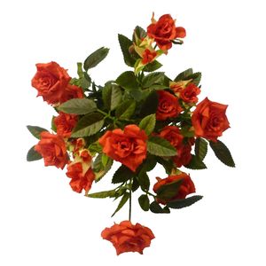 Diamond Rose Bush Red