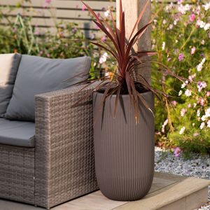 Cappuccino Pacific Tall Pacific Planter (62cm).jpg