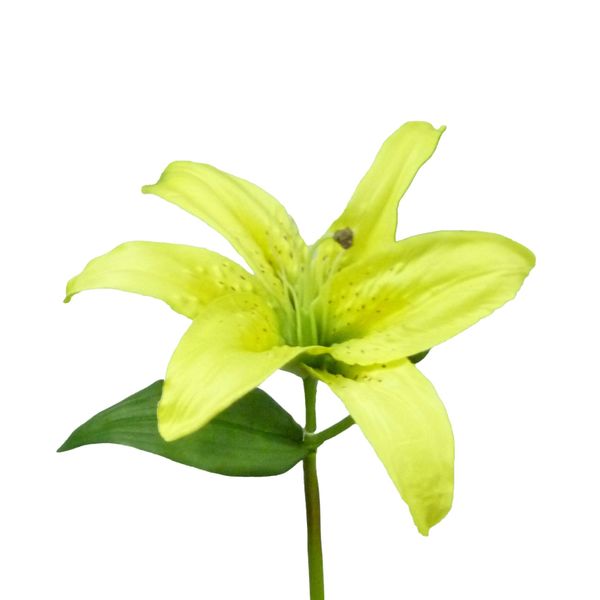 15" Casablanca Lily Yellow
