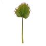 Palm Leaf Spray 94Cm