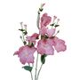 24" Morning Glory Spray Pink