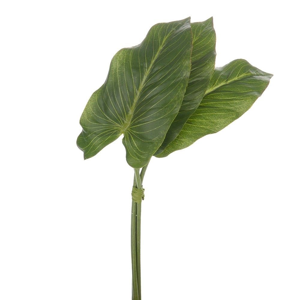 Anthurium Leaf Bundle 33Cm