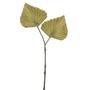 Fan Palm X2 Green 39Cm