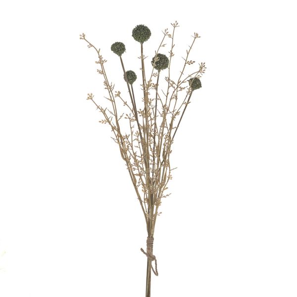 Thistle Straw Grass Bundle Green 52Cm