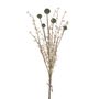 Thistle Straw Grass Bundle Green 52Cm