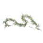 Asparagus Fern Garland 183Cm