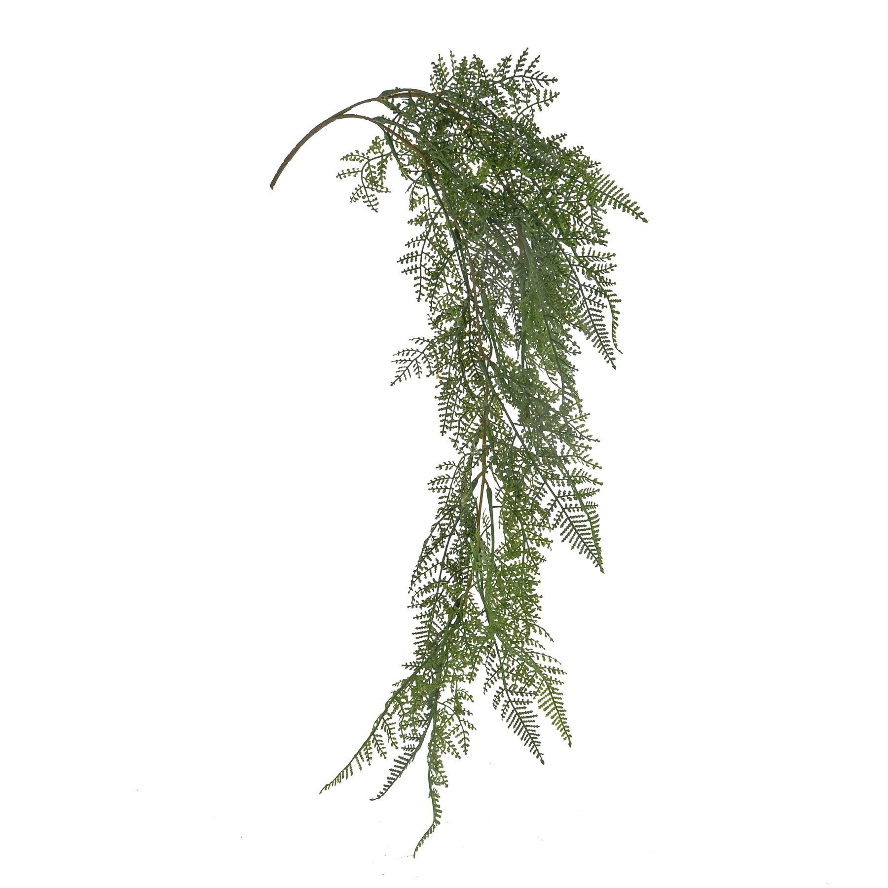 Lace Fern Trailing Spray