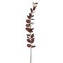 Eucalyptus Stem Burgandy