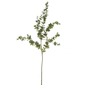 Eucalyptus Spray Green 145cm