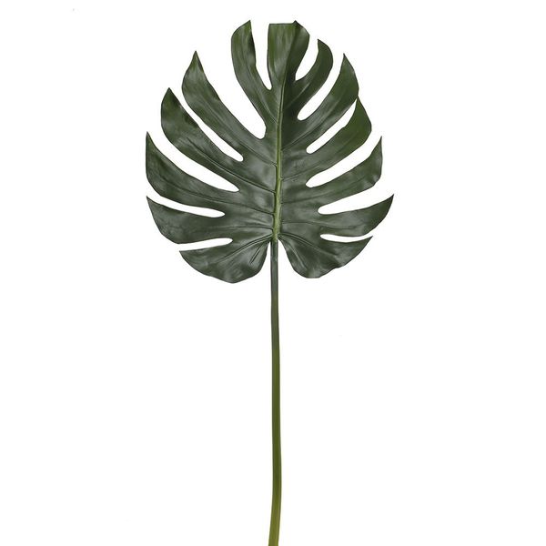 Split Philo Leaves Stem 98Cm