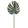 Split Philo Leaves Stem 98Cm