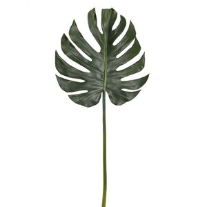 Split Philo Leaves Stem 98Cm
