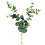 Eucalyptus Spray Green 72cm