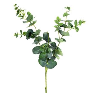Eucalyptus Spray Green 72cm
