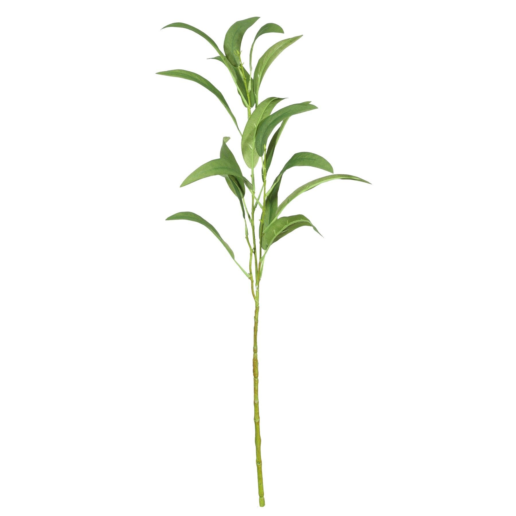 Eucalyptus Spray - 59cm