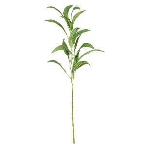 Eucalyptus Spray - 59cm