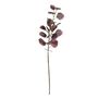 Eucalyptus Spray - Burgundy - 75cm