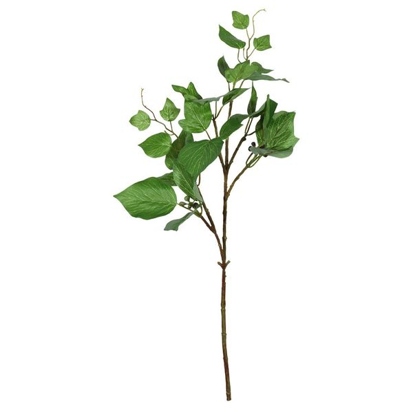 Single Hedera - 54cm