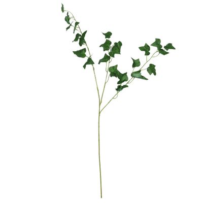 English Ivy Leaf - 80cm