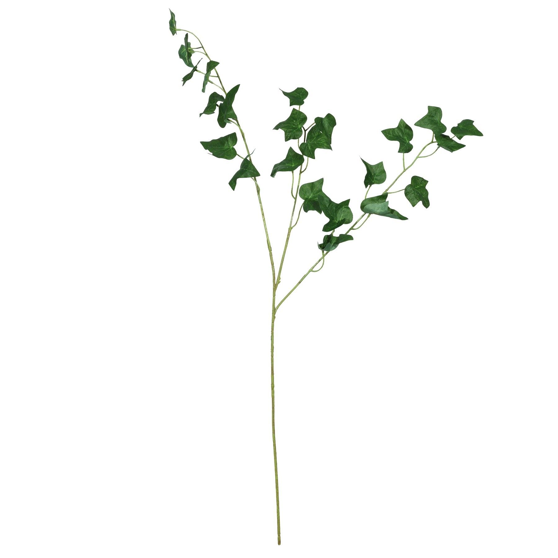 English Ivy Leaf - 80cm