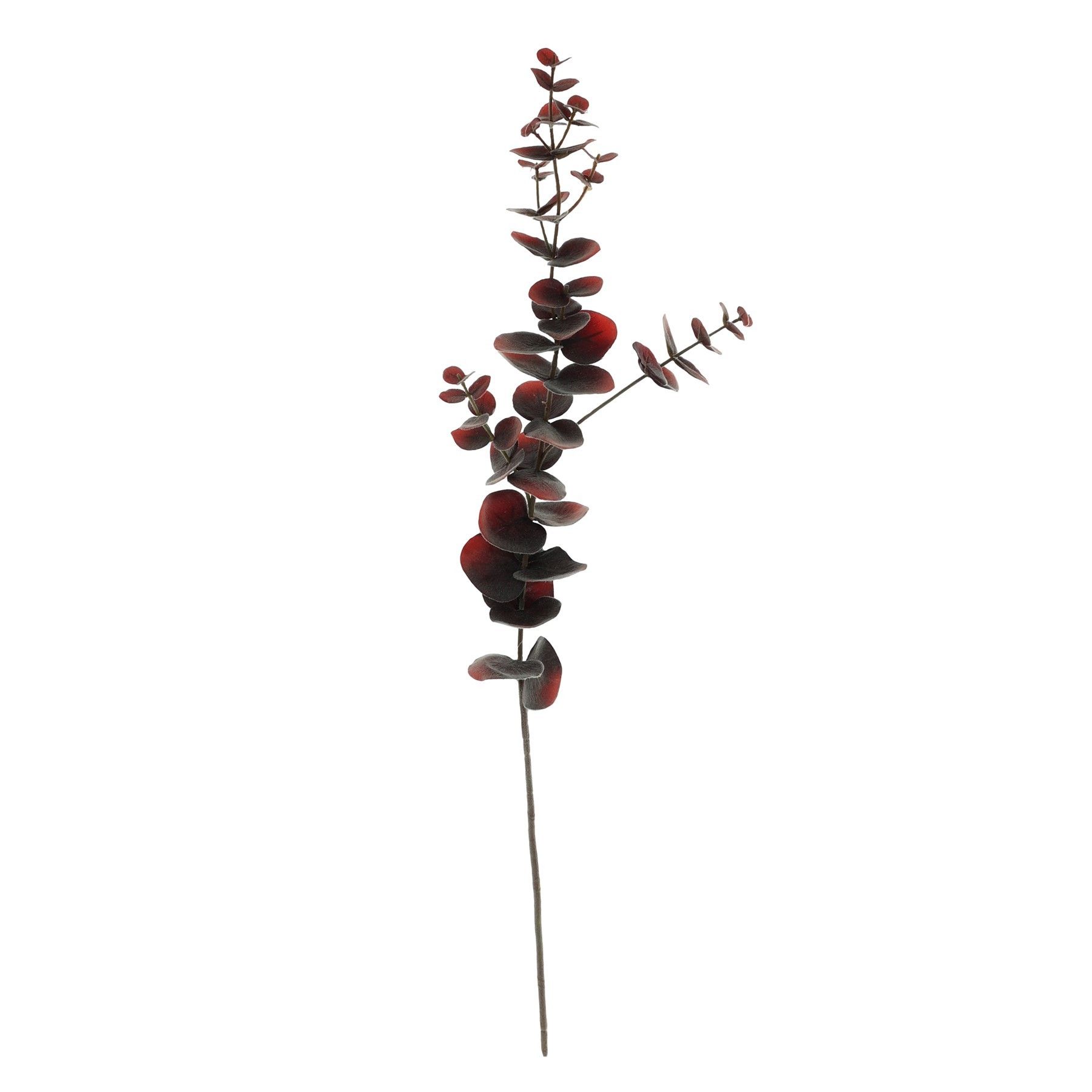 Eucalyptus Spray Brown - 75cm