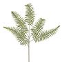 Prestige Fern Spray 74Cm