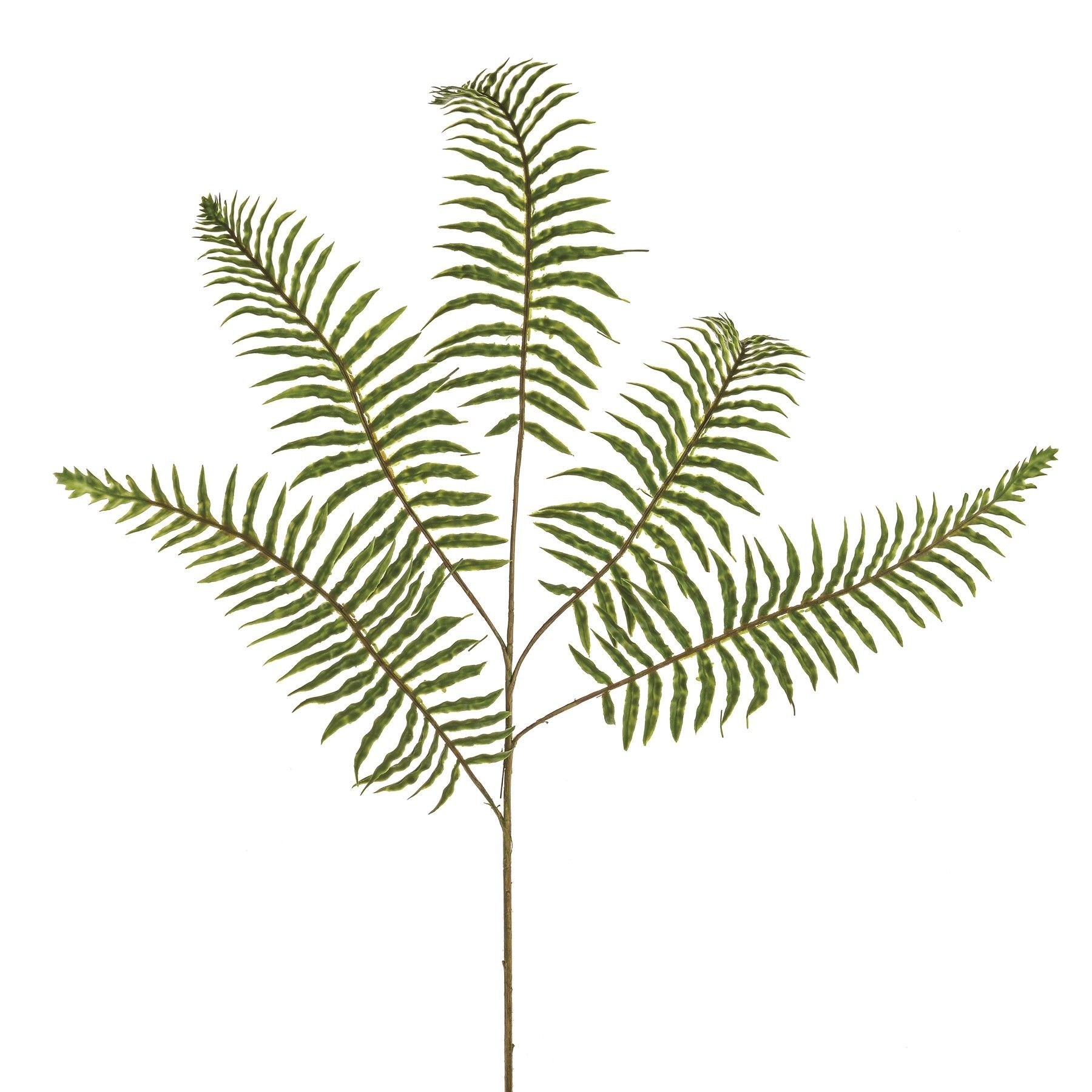 Prestige Fern Spray 74Cm