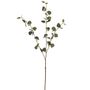 Pure Eucalyptus Spray 93Cm