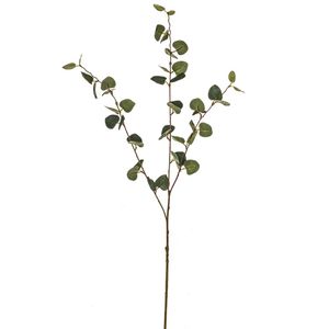 Pure Eucalyptus Spray 93Cm