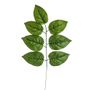 Leaf Spray Green 59Cm